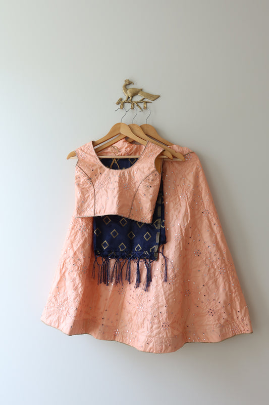 Peachy Pink Mirrorwork Kids Lehenga Choli- New, 32