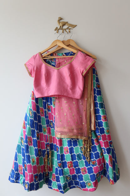 Multicolor Choli Set With Pink Blouse - Size M/L, Preloved