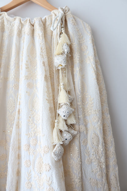 Classic Lucknowi Skirt Only - New