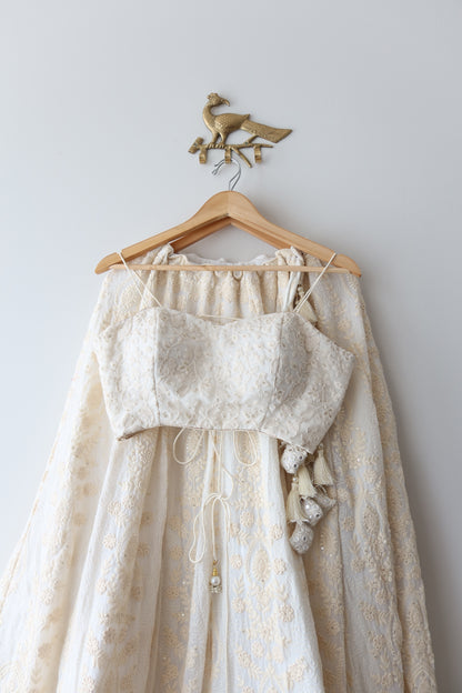 Classic Lucknowi Skirt Only - New