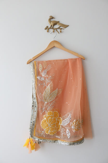 Yummy Sorbet Net Lehenga Set