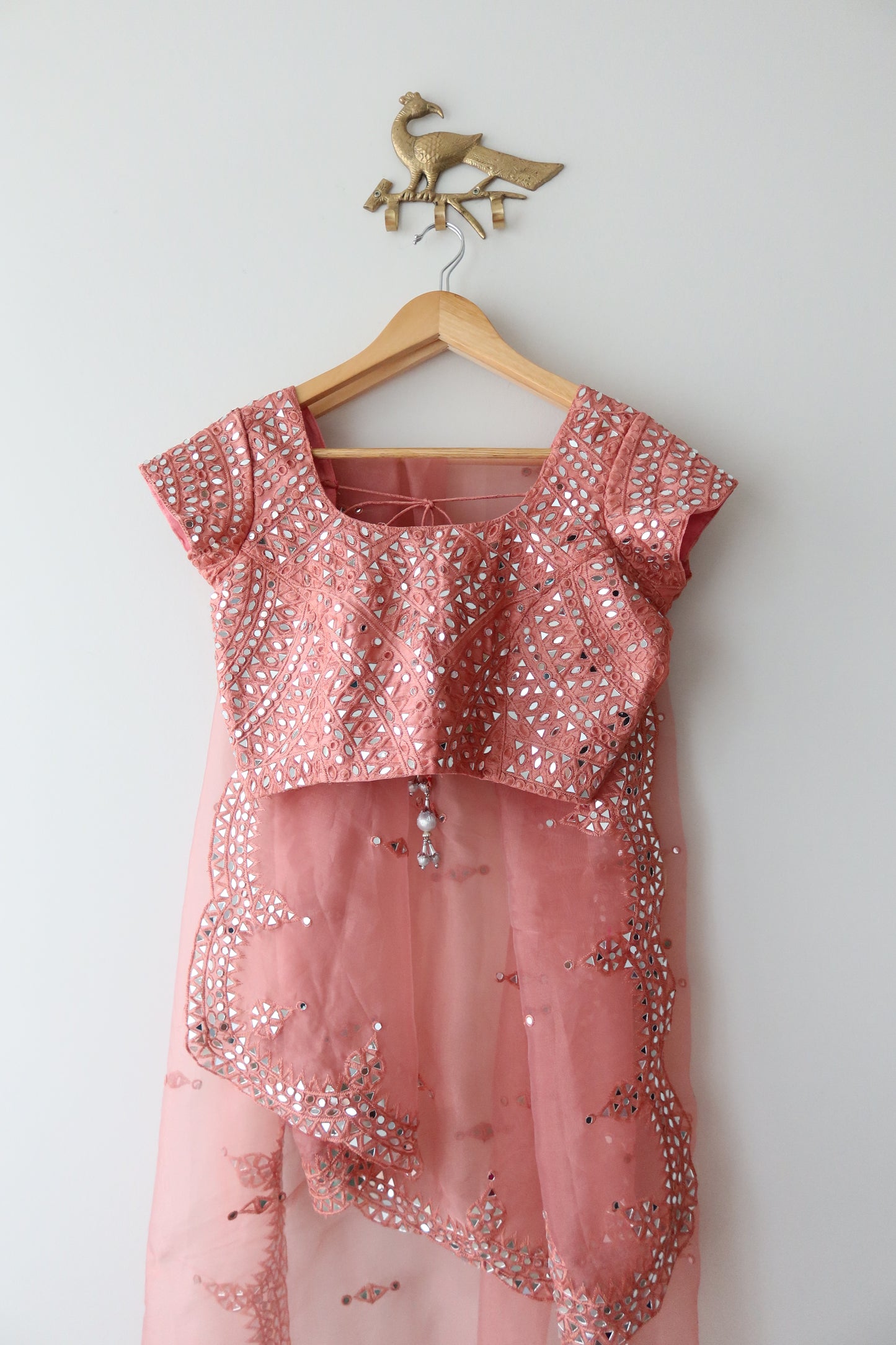 Blush Pink Organza Mirrorwork Sari with Stitched Blouse