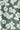 jasmine garden printed saree